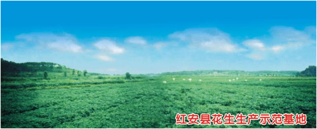 九游·会(J9.com)集团官网 - 真人游戏第一品牌[首页]