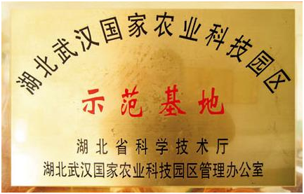 九游·会(J9.com)集团官网 - 真人游戏第一品牌[首页]