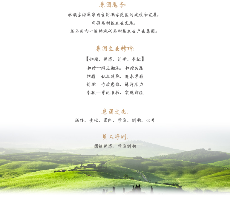 九游·会(J9.com)集团官网 - 真人游戏第一品牌[首页]