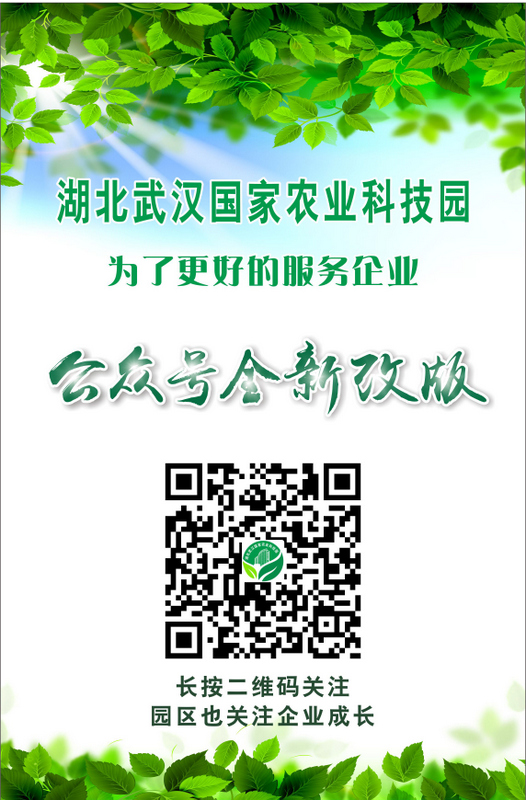 九游·会(J9.com)集团官网 - 真人游戏第一品牌[首页]