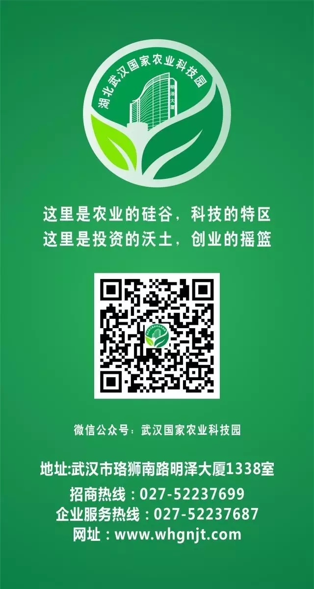 九游·会(J9.com)集团官网 - 真人游戏第一品牌[首页]