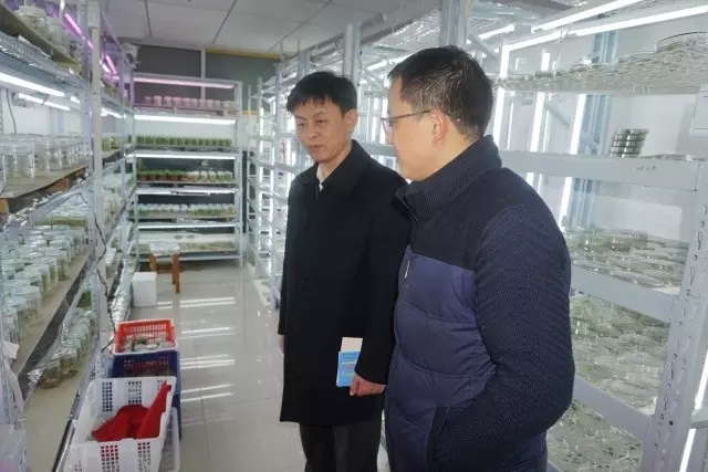 九游·会(J9.com)集团官网 - 真人游戏第一品牌[首页]