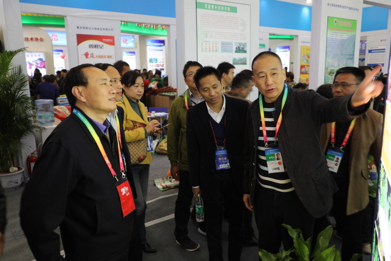 九游·会(J9.com)集团官网 - 真人游戏第一品牌[首页]