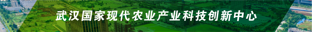九游·会(J9.com)集团官网 - 真人游戏第一品牌[首页]